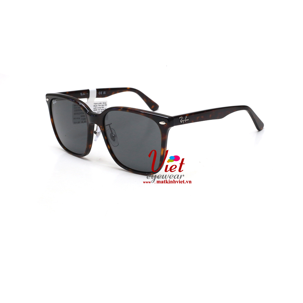 Kính mát RayBan RB2206D 710/87